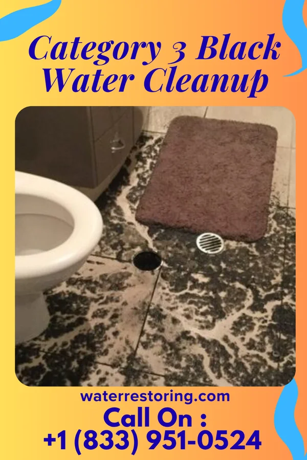 Category 3 Black Water Cleanup in Libby, MT
